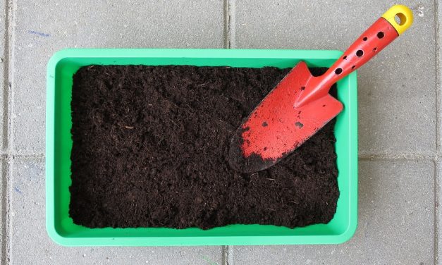 VAN ZAADJE TOT SLAATJE