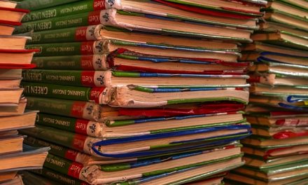 Opleidingen, niveaus en leerwegen in het mbo