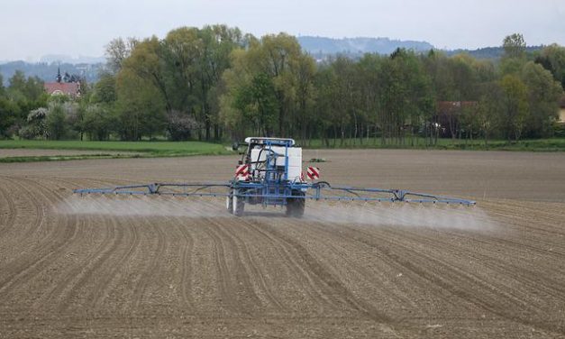 Welk werk is verboden voor jongeren tot 18 jaar?