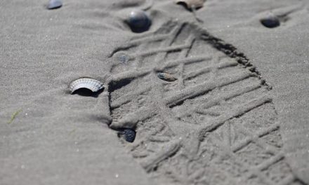 Gezag bij overlijden