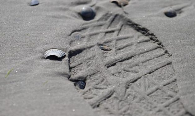 Gezag bij overlijden